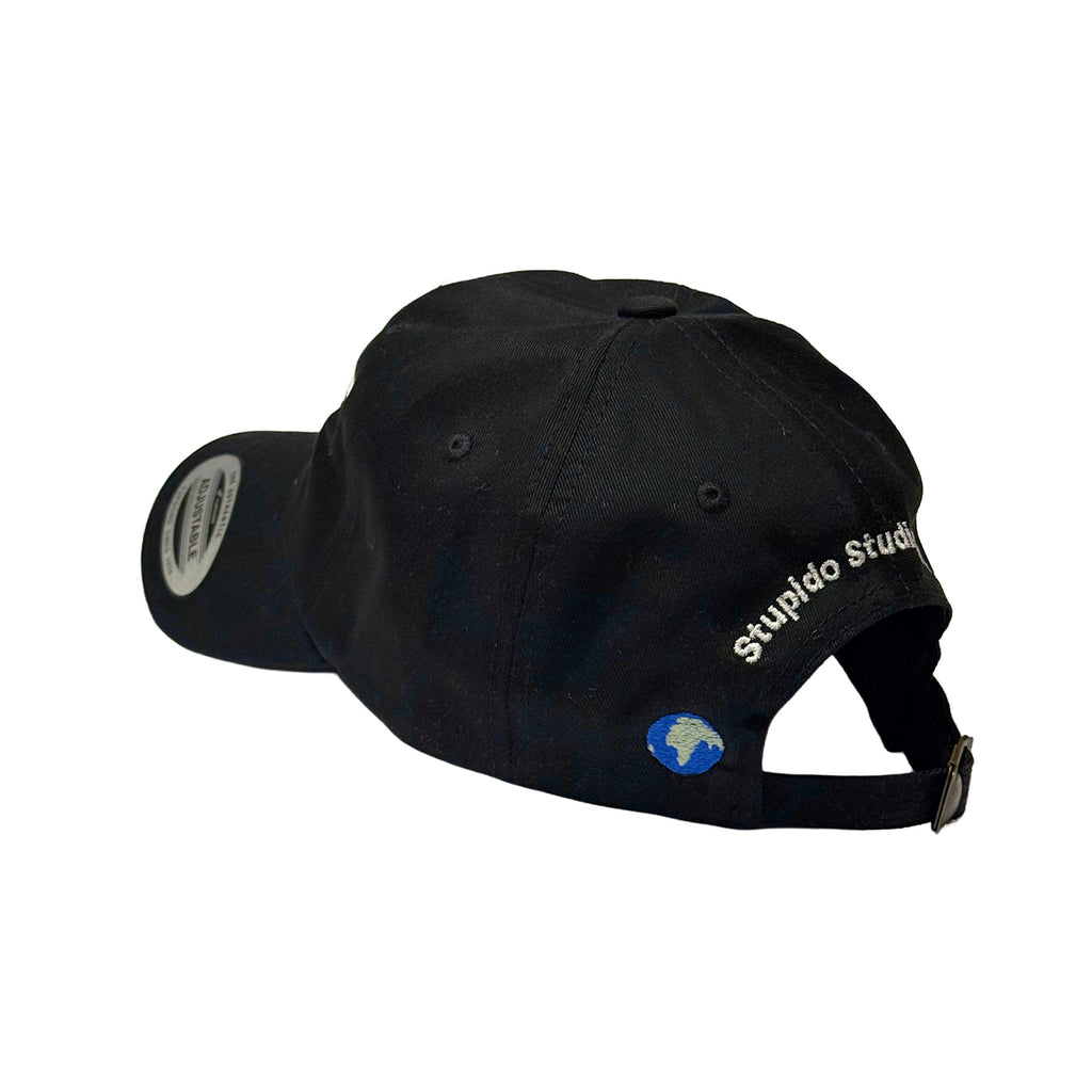 WORLD GONE STUPID - 6 PANEL CAP (BK)