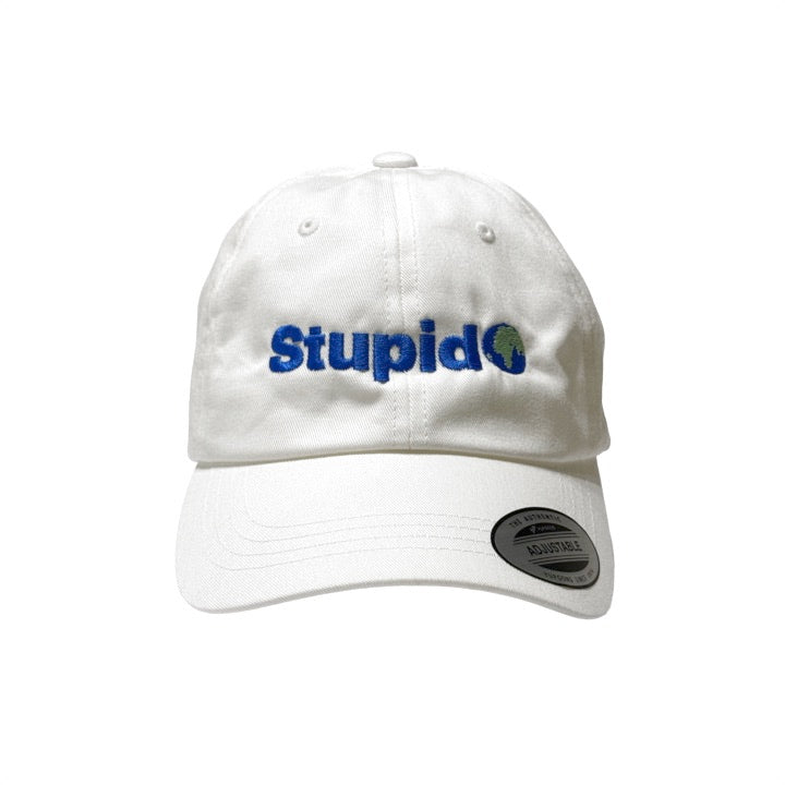 STUPID🌍 - 6 PANEL CAP (WH)