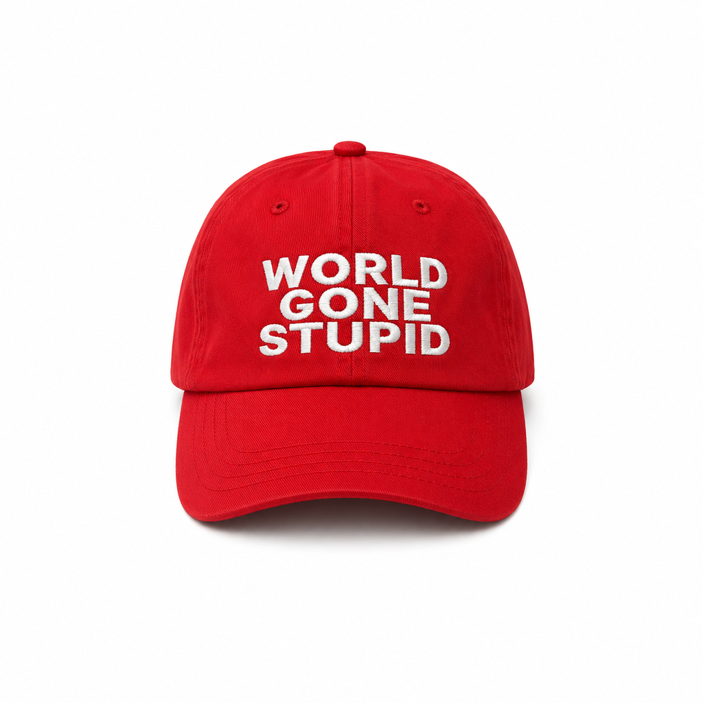 WORLD GONE STUPID - 6 PANEL CAP (RD)