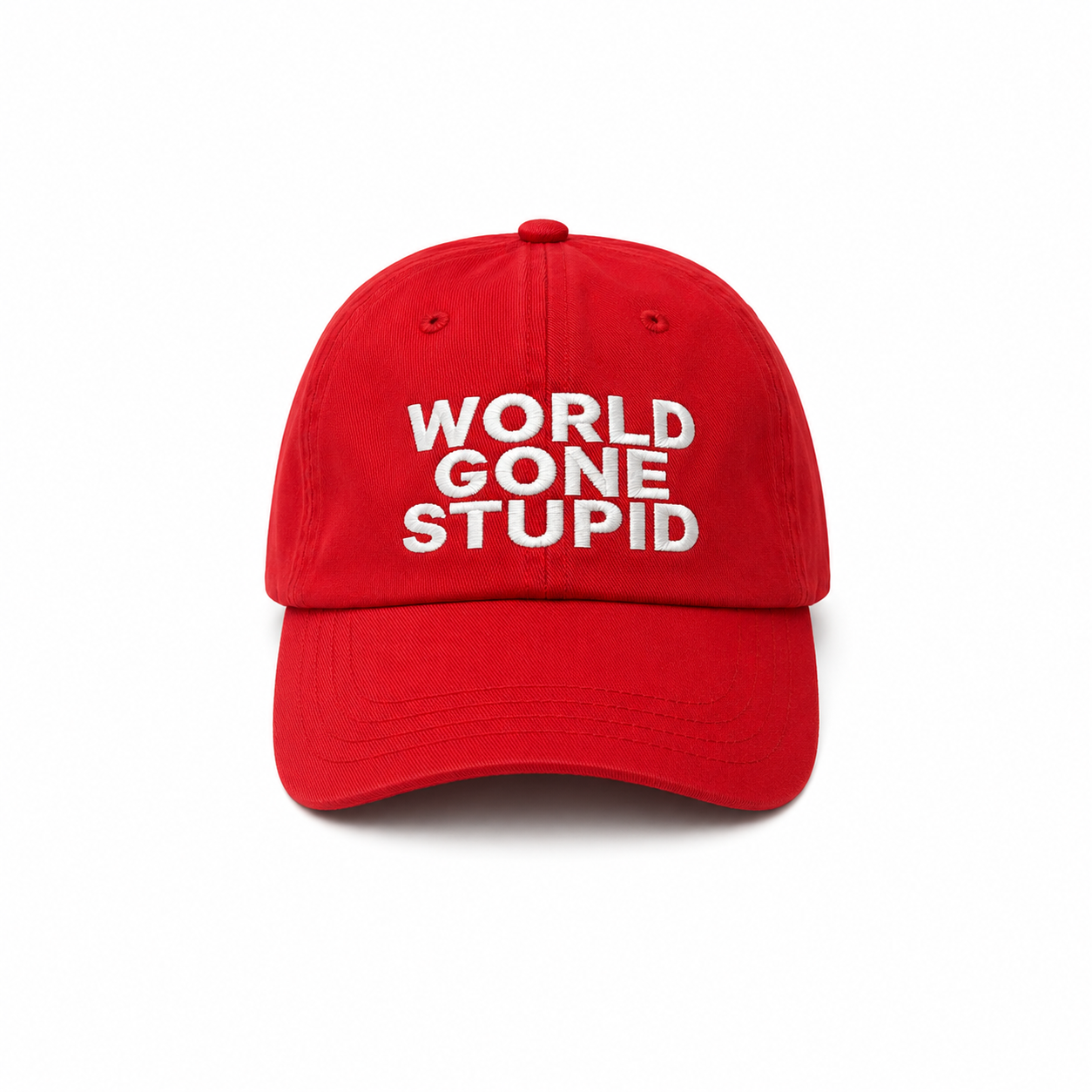 WORLD GONE STUPID - 6 PANEL CAP (RD)